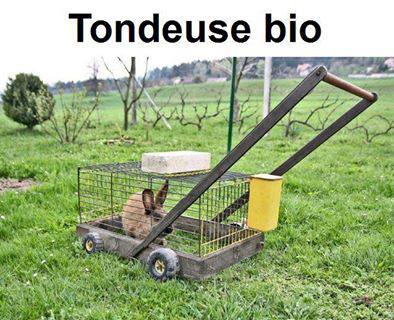 tondeuse_bio.jpg